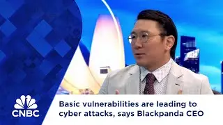 Basic vulnerabilities are leading to cyber attacks, says Blackpanda CEO