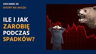 Dlaczego zaczynam shortować indeks WIG20 (grać na spadki)?