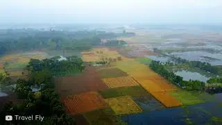 Winter morning nature drone video footage