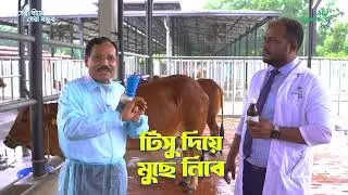 ACI Animal Genetics' Teat Solution | Keep Cow's Teats Healthy, Protect Against Mastitis | ACI