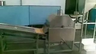 Wintech StarWheel Pellet Fryer;Oil in system 100liters