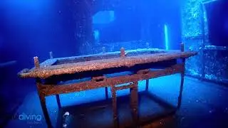 Inside the wreck Afonso Cerqueira in Madeira Island