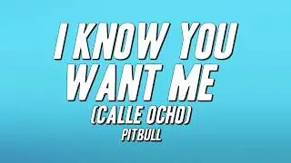 Pitbull - I Know You Want Me (Calle Ocho) [Lyrics]