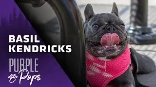 Purple Pups Featuring Eric Kendricks | Minnesota Vikings