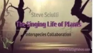 Steven Sciulli: The Singing Life of Plants
