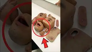 The Weirdest Coin Purse You&rsquo;ll Ever See!😱