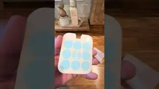 Safer Home Insect Control