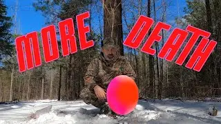 We Lost Them ALL!!! | More Death on THE RIDGE! | Traps & Trails