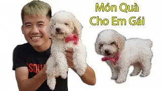 Hưng Troll | Đ&oacute;n C&uacute;n Poodle Si&ecirc;u Cute Về Tặng Em G&aacute;i Đo&agrave;n Tụ Với Gia Đ&igrave;nh Ng&aacute;o Ngơ
