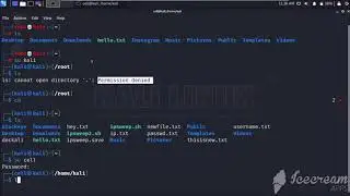 Permission denied in Kali Linux | Grant Permissions in Kali