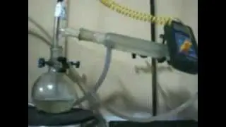 The Solvent Free Synthesis of Ethyl Acetate