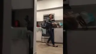 Dog scares owner coming home #dog #germanshepherd #gsd #funny #funnyvideo #prank