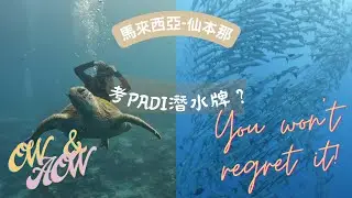 [馬來西亞#1] 仙本那PADI潛水執照OW+AWO | 西巴丹島-世界十大潛點之一｜海·狼風暴｜好靚呀！