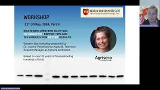 Agrisera Western blot workshop, Taiwan 2024, part 2