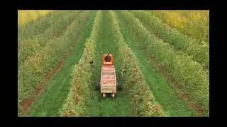 Self Propelled Apple Bin Trailer Mobility