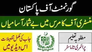 Govt Jobs Ministry of Commerce Male and Female Jobs