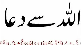 islamic videos is live!