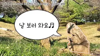 [WMD CLOUD] 월명동 가는골