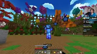 Why Cubecraft in North America is so laggy