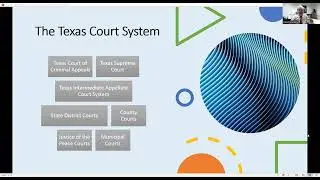 Texas Politics-The Justice System
