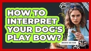 How to Interpret Your Dog's Play Bow?