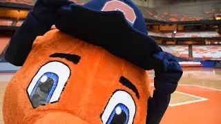 44 Questions with Otto the Orange