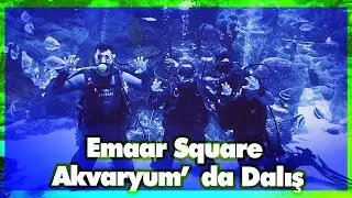 Emaar Square Akvaryum'da Tüplü Dalış | Deneme Tahtası