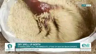 Dry Spell: Stakeholders Demand Immediate Removal of Grain Export Restrictions to Mitigate Crisis
