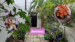 ROTINA NO MEU QUINTAL! MOSTRANDO MINHAS PLANTAS EM VASOS //UMA TARDE ABENÇOADA 🙌🏻