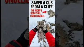 I Never Believed She Would Do This!&hellip; #wildliferescue #animalrescue #animalstories #wildlife