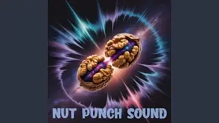 Nut Punch Sound