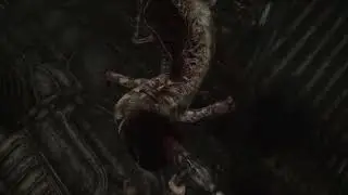 Scorn. Bolt gun execution
