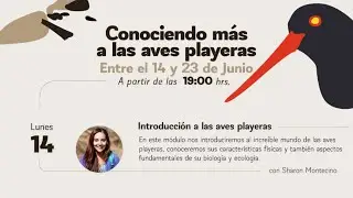 Conociendo m&aacute;s a las aves playeras m&oacute;dulo 1: Introducci&oacute;n a las aves playeras