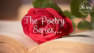 The Poetry Series: Shadow and Light, The Essence of Noir