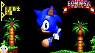 Panicing in Palmtree (Sonic CD)