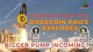 Dogecoin BREAKING OUT RIGHT NOW!!! || Dogecoin Price Prediction || Crypto News ||Finance Dock