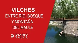 Vilches en la precordillera del Maule entre r&iacute;o, bosque y monta&ntilde;a. M&Aacute;S INFO👇