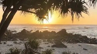 22.12.2025 Sydney Surf Report Vision Cabarita Back Beach Australia
