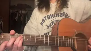 terrapin - clairo cover