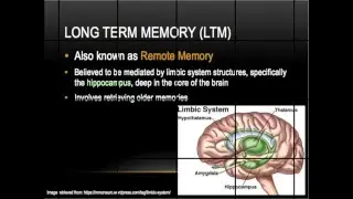 OT Memory Screening