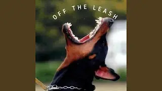 Off the Leash, Pt. 2 (feat. Dfromda3)
