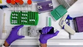 Efforts to radically change medical research underway