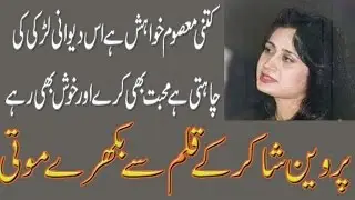 A tribute to Parveen Shakir | Parveen Shakir Poetry Collection