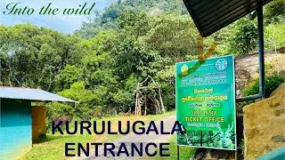 Kurulugala Entrance Sinharaja - Into the wild