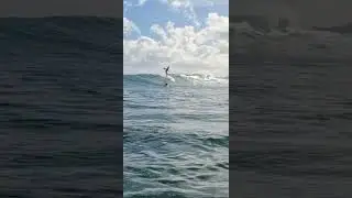 SUP Surfing Hawaii #surf #supsurfing #sup #supsurf #suphawaii #northshore #waves #paddlesurf