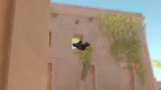 CS2 Ragdoll Physics