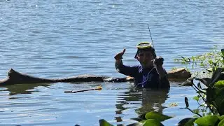 parte #1 los benimos de pesca con arpon 