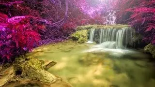 1 Hour Relaxing Guitar Music: New Age Guitar Music; New Age music; relaxing Music 🎸228