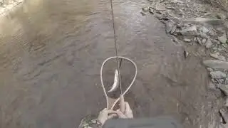 Trout love the &ldquo;double trouble&rdquo;