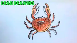BREATHTAKING CRAB DRAWING THAT YOU CAN&rsquo;T MISS! REALISTIC CRAB DRAWING THAT WILL AMAZE YOU!